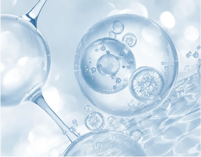 Science & Technology			